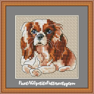 May include: A cross-stitch pattern featuring a Cavalier King Charles Spaniel with brown and white fur, depicted in a square format on a beige grid fabric. The text PuntAGOpetitePatternetsy.com is printed in white at the bottom of the image.