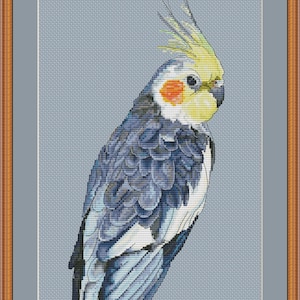 May include: Cross stitch pattern of a cockatiel bird with yellow, white, and blue feathers. The bird is facing to the right and has a red patch on its cheek. The background is a light blue color.