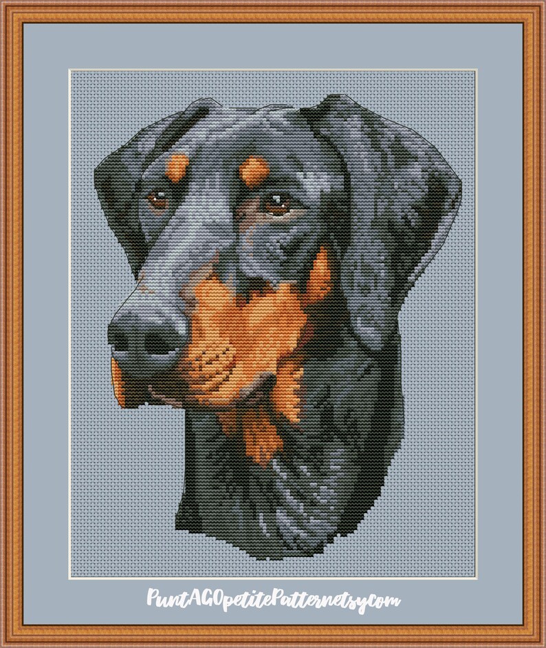 May include: Cross stitch pattern of a black and tan Doberman Pinscher dog's head. The dog is looking to the left of the image. The pattern is on a light blue background.  PuntAGOpatitePatternsEtsy.com