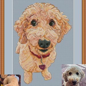Custom Pet Cross Stitch Pattern- Personalized Embroidery Chart (Digital PDF Download)
