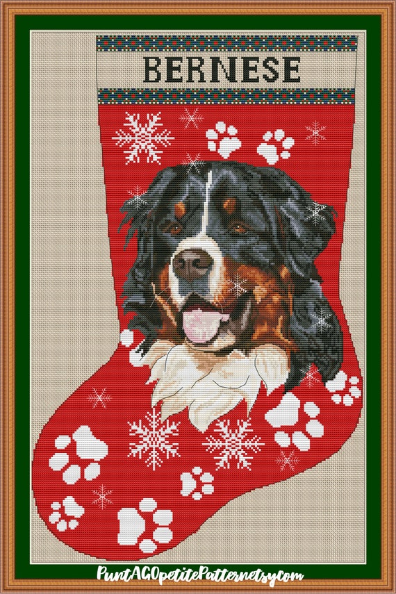 5 x 7 inches Set of 25 Bernese Mountain Dog in Snow with Christmas Gifts and Dog House Greeting Card