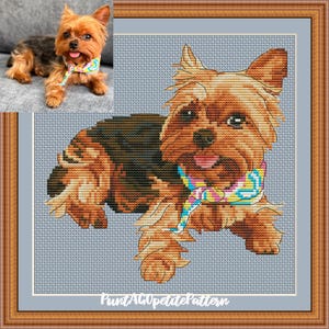 May include: A framed cross-stitch of a Yorkshire Terrier dog, with a matching photo in the upper left corner. The cross-stitch features the dog with brown and black fur, wearing a colourful scarf. The frame is brown.