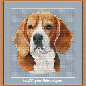 May include: Cross stitch pattern of a beagle dog with brown, white and black fur. The dog is looking directly at the viewer with a serious expression. The pattern is on a blue background.