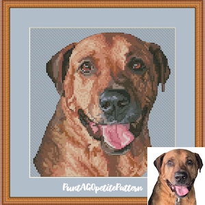 May include: A cross-stitch pattern featuring a brown dog with a black muzzle and pink tongue, set against a light blue background within a wooden frame. The text "PuntAGOpetitePattern" is printed in white at the bottom of the light blue area.