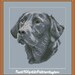 Silver Labrador Portrait Cross Stitch Pdf Pattern - Etsy