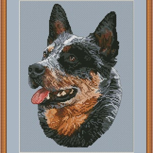 Blue heeler dog portrait cross stitch pdf pattern