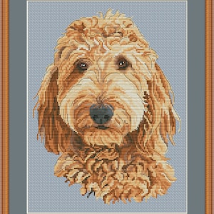Goldendoodle portrait cross stitch pdf pattern