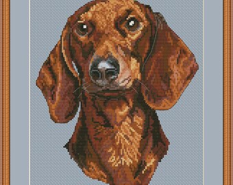 May include: A cross-stitch pattern of a brown dachshund dog with a light blue background. The dog is looking directly at the viewer with its ears perked up. The pattern is from PuntAGOpetitePatternetsy.com.