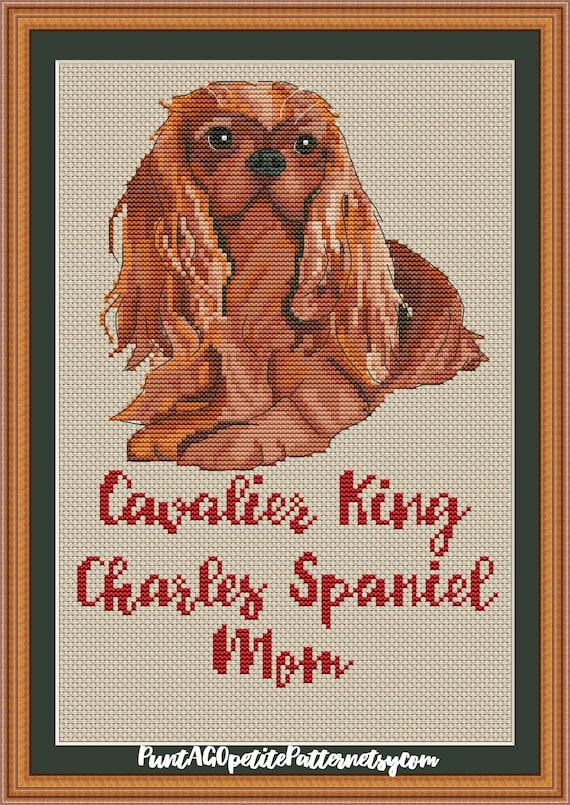 Tri Color Cavalier King Charles Spaniel Night cross stitch pattern