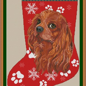 May include: A red Christmas stocking featuring a Cavalier King Charles Spaniel dog design. The stocking has white paw prints and snowflakes. The word "CAVALIER" is at the top. The background is beige.