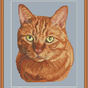 Puede incluir: Un primer plano de la cara de un gato jengibre. El gato tiene ojos verdes y una expresión seria. El fondo es azul claro.