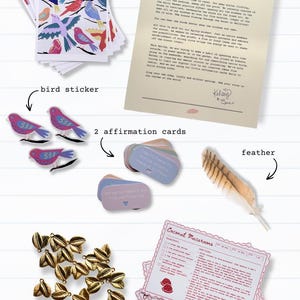 Pu&ograve; includere: Una collezione di articoli di cancelleria tra cui una stampa artistica 4x6 con uccelli colorati, adesivi per uccelli, carte di affermazione, una piuma, ciondoli a forma di piuma e una ricetta di biscotti. Il testo "April's letter" &egrave; in alto.
