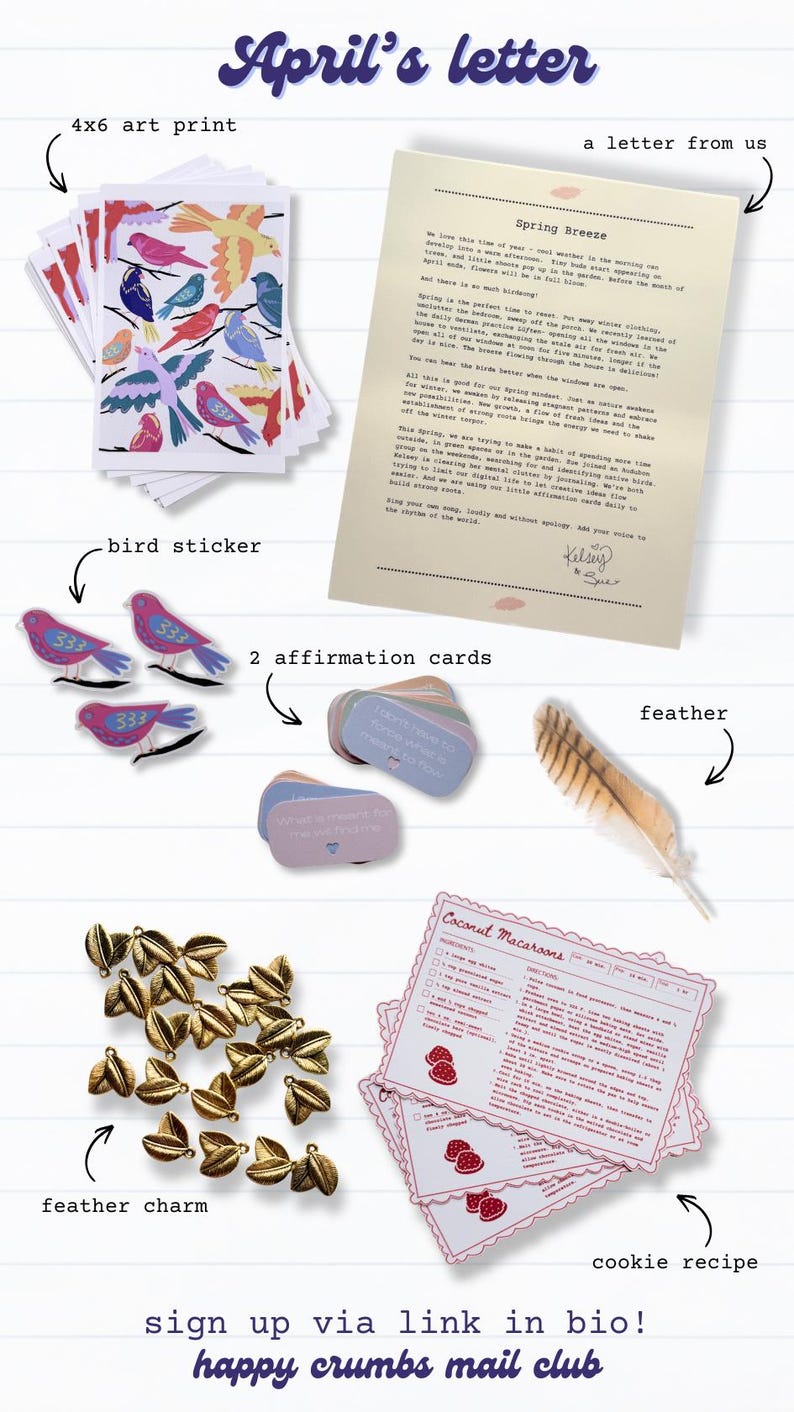 Pu&ograve; includere: Una collezione di articoli di cancelleria tra cui una stampa artistica 4x6 con uccelli colorati, adesivi per uccelli, carte di affermazione, una piuma, ciondoli a forma di piuma e una ricetta di biscotti. Il testo "April's letter" &egrave; in alto.