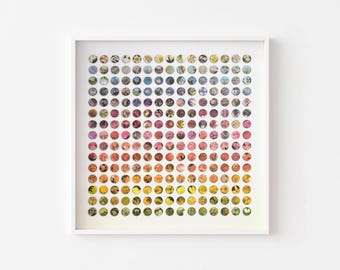 Collagekunst aan de muur met bloemen stippen, origineel botanisch regenboogkunstwerk