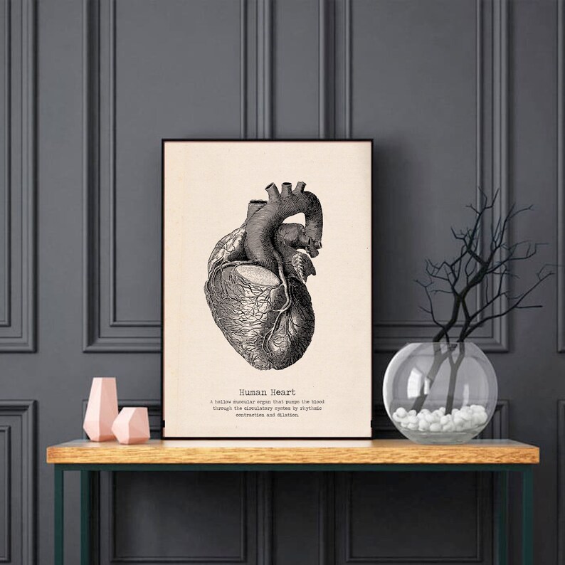 Vintage Human Heart Poster – Anatomical Wall Art, Gothic Medical ...