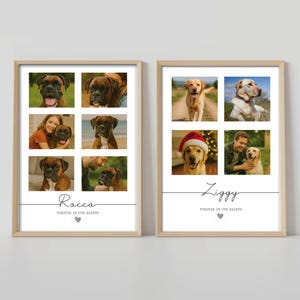 Dog Memorial Photo Collage | Pet Loss Gift | Custom Pet Keepsake | Cat, Dog bereavement present | Horse Tribute | Personalised Pet Wall Art
