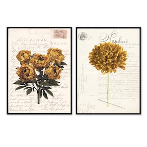 photos de fleurs vintage. Impressions couleur moutarde. Décoration d'intérieur jaune ocre. Art mural rétro. Cartes postales anciennes. Lot de 2. Insolite. Ferme de campagne