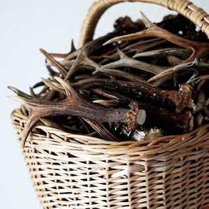 Random Mixed Roe Deer Antlers Best quality