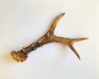 Scarf Tie Made From Elk Antler