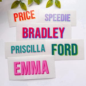 May include: A collection of rectangular white stickers featuring names and words in bold, colorful block lettering. The text includes PRICE in orange and red, SPEEDIE in purple, BRADLEY in pink and blue, PRISCILLA in teal, FORD in green, and EMMA in pink.
