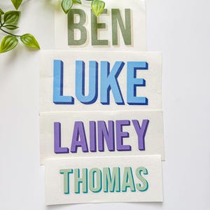 May include: Four rectangular white labels featuring custom names in block lettering with a 3D drop shadow effect. The names are printed in different colors: BEN in olive green, LUKE in bright blue, LAINEY in purple, and THOMAS in teal green.