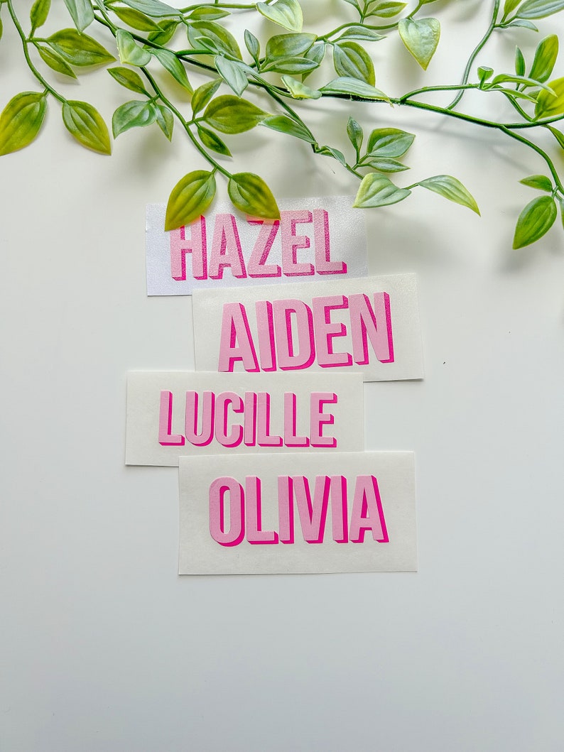 Pu&ograve; includere: Quattro adesivi rettangolari in vinile bianco con i nomi HAZEL, AIDEN, LUCILLE e OLIVIA stampati in un carattere a blocchi rosa tridimensionale e in grassetto. Ogni nome &egrave; presentato su un adesivo individuale, disposto in pila.