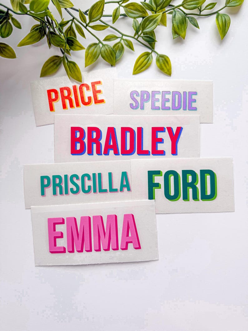 Pu&ograve; includere: Una collezione di adesivi rettangolari bianchi con nomi e parole in grassetto e caratteri colorati. Il testo include PRICE in arancione e rosso, SPEEDIE in viola, BRADLEY in rosa e blu, PRISCILLA in verde acqua, FORD in verde e EMMA in rosa.