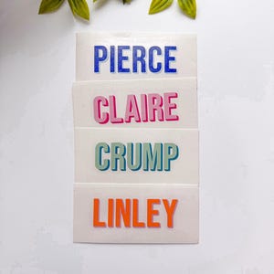 Pu&ograve; includere: Quattro etichette adesive rettangolari bianche con nomi in lettere maiuscole grassetto senza grazie. L'etichetta in alto riporta PIERCE in blu, la seconda CLAIRE in rosa, la terza CRUMP in verde acqua e l'ultima in basso riporta LINLEY in arancione.