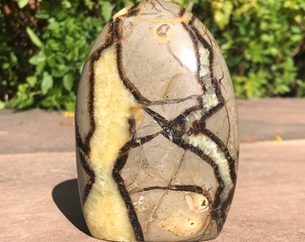 Septarian Dragon Stone Standing Freeform