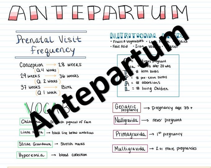 Antepartum Study Guide