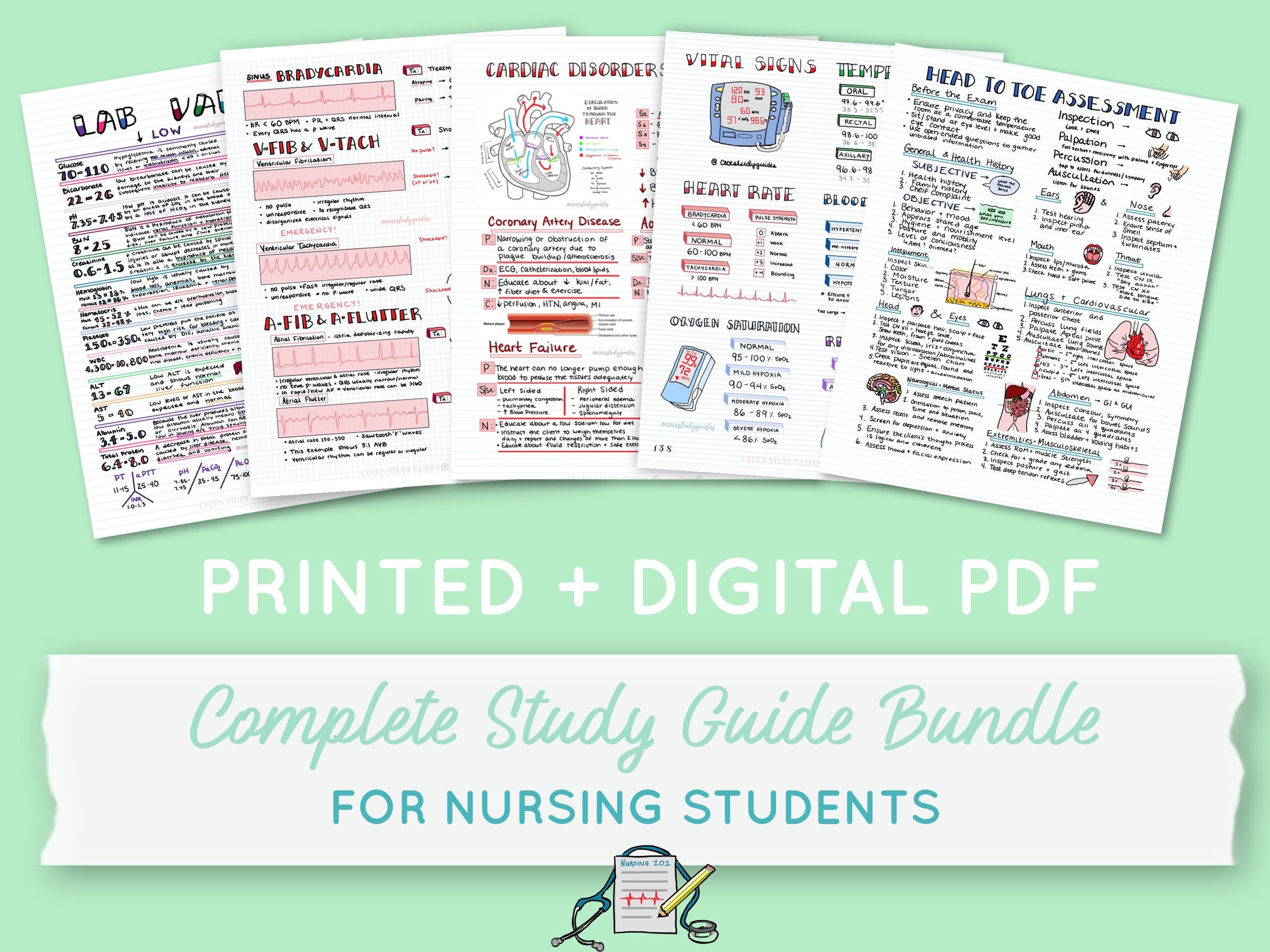 Printed Digital Complete Nursing Study Guide Bundle Hard Copy And Pdf