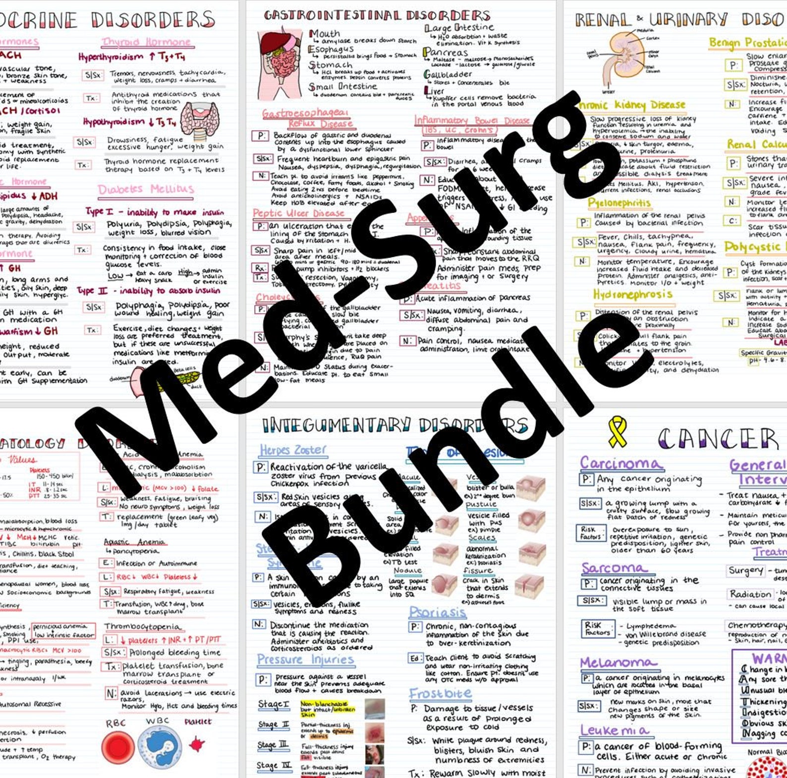 Med surg Basics Bundle ™ Nursing Study Guide Nursing Cheat Etsy
