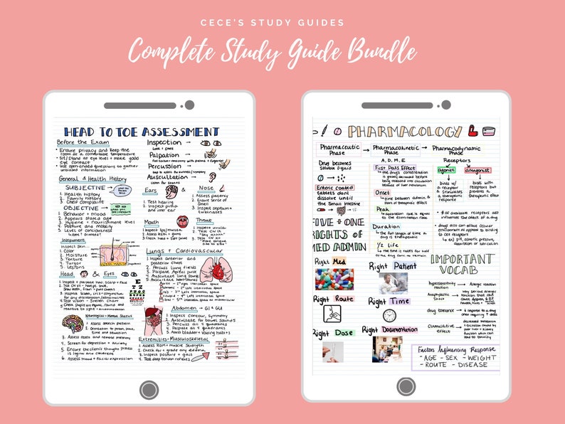 DIGITAL - Complete Study Guide Bundle for Nursing Students - Nursing Notes image 4