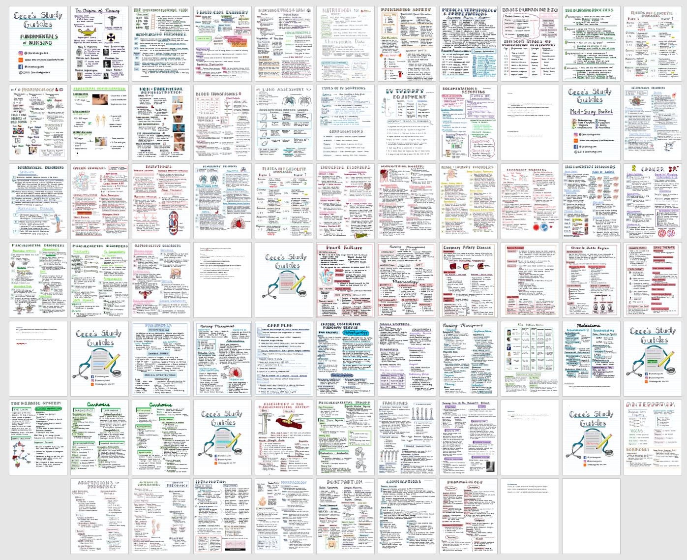 printed-digital-pdf-complete-nursing-study-guide-bundle-digital