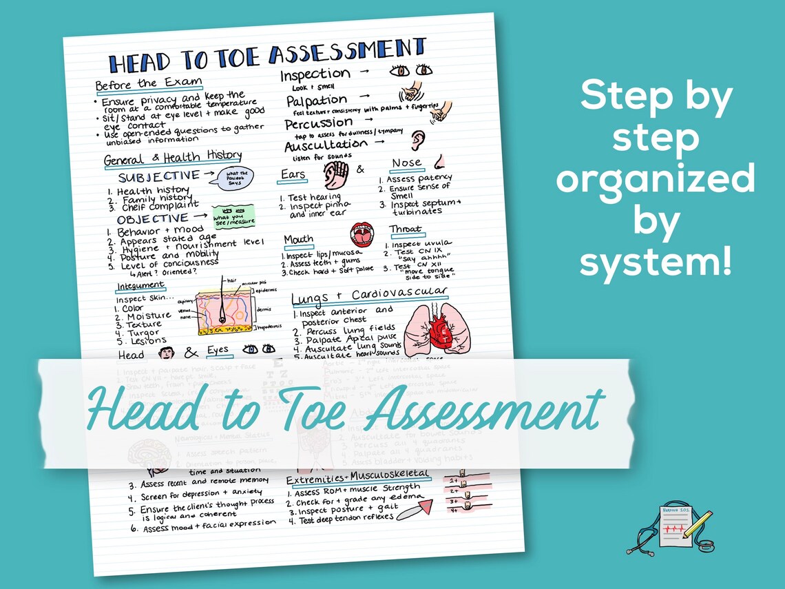 Head to Toe Assessment - Study Guide for Nursing Students - Nurse ...