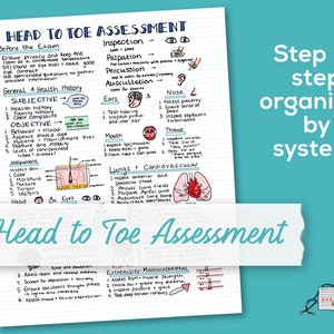 Head to Toe Assessment - Study Guide for Nursing Students - Nurse Health Assessment Notes