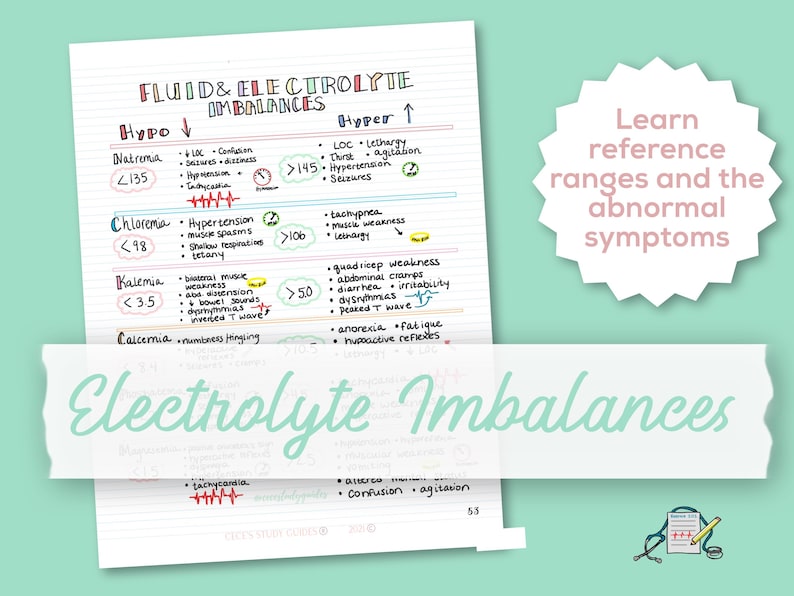 Electrolyte Imbalances Study Guide - Etsy