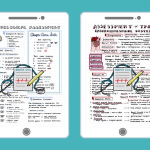 Health Assessment Bundle ™ Notizen zur Krankenpflegeschule, die beim Bestehen des NCLEX RN oder LPN helfen Ceces Studienführer, Notizen zur Krankenpflege, Spickzettel für Krankenschwestern Bild 2