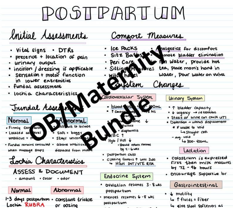 PRINTED Digital PDF OB Maternity Bundle Nursing Notes Etsy