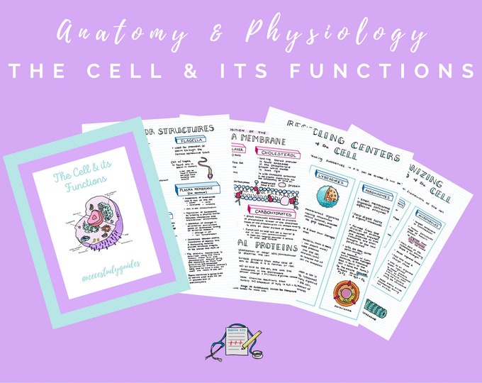 The Cell and Its Functions - Anatomy & Physiology Study Guide