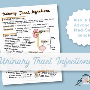 Könnte beinhalten: Ein handgezeichnetes Diagramm des Harntrakts mit Beschriftungen für die Nieren, die Blase und die Harnröhre. Das Diagramm wird von einem Text begleitet, der die Pathophysiologie, Risikofaktoren und Symptome von Harnwegsinfektionen erklärt.