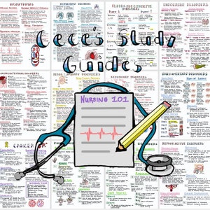 DIGITAL - Complete Study Guide Bundle for Nursing Students - Nursing Notes image 6