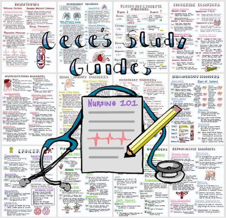 DIGITAL - Complete Study Guide Bundle for Nursing Students - Nursing Notes image 6