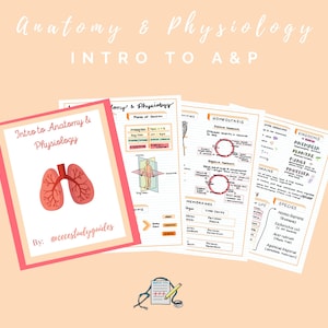 Intro to Anatomy & Physiology
