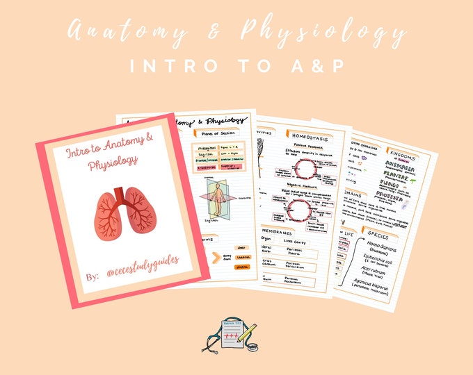 Intro to Anatomy & Physiology