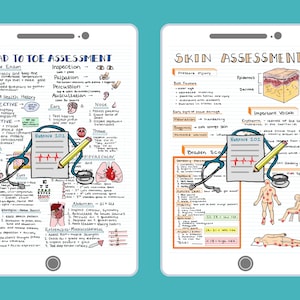 Health Assessment Bundle ™ Notizen zur Krankenpflegeschule, die beim Bestehen des NCLEX RN oder LPN helfen Ceces Studienführer, Notizen zur Krankenpflege, Spickzettel für Krankenschwestern Bild 3