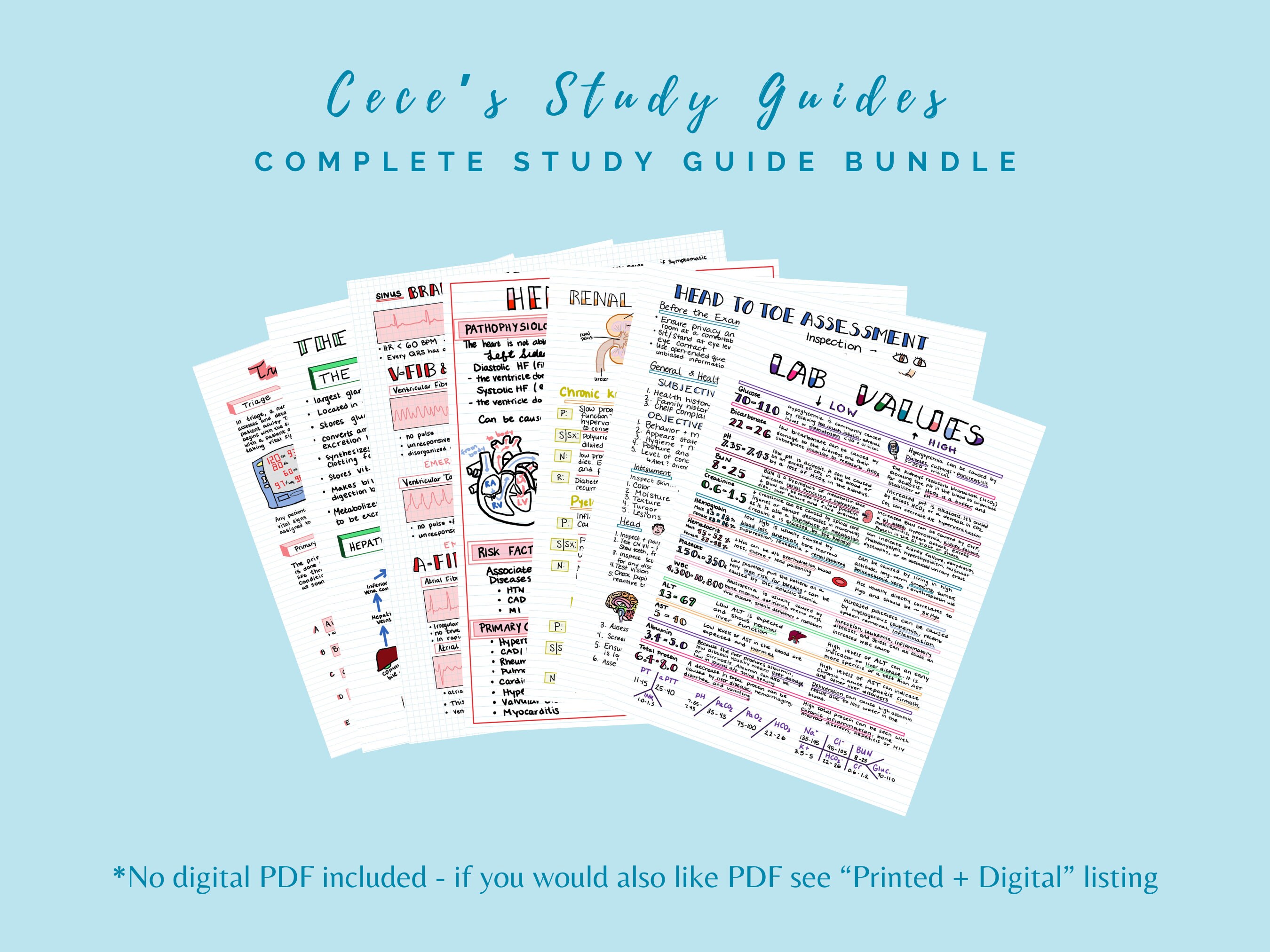 CER Notes - Student Note-Taking Guide – Penda Learning