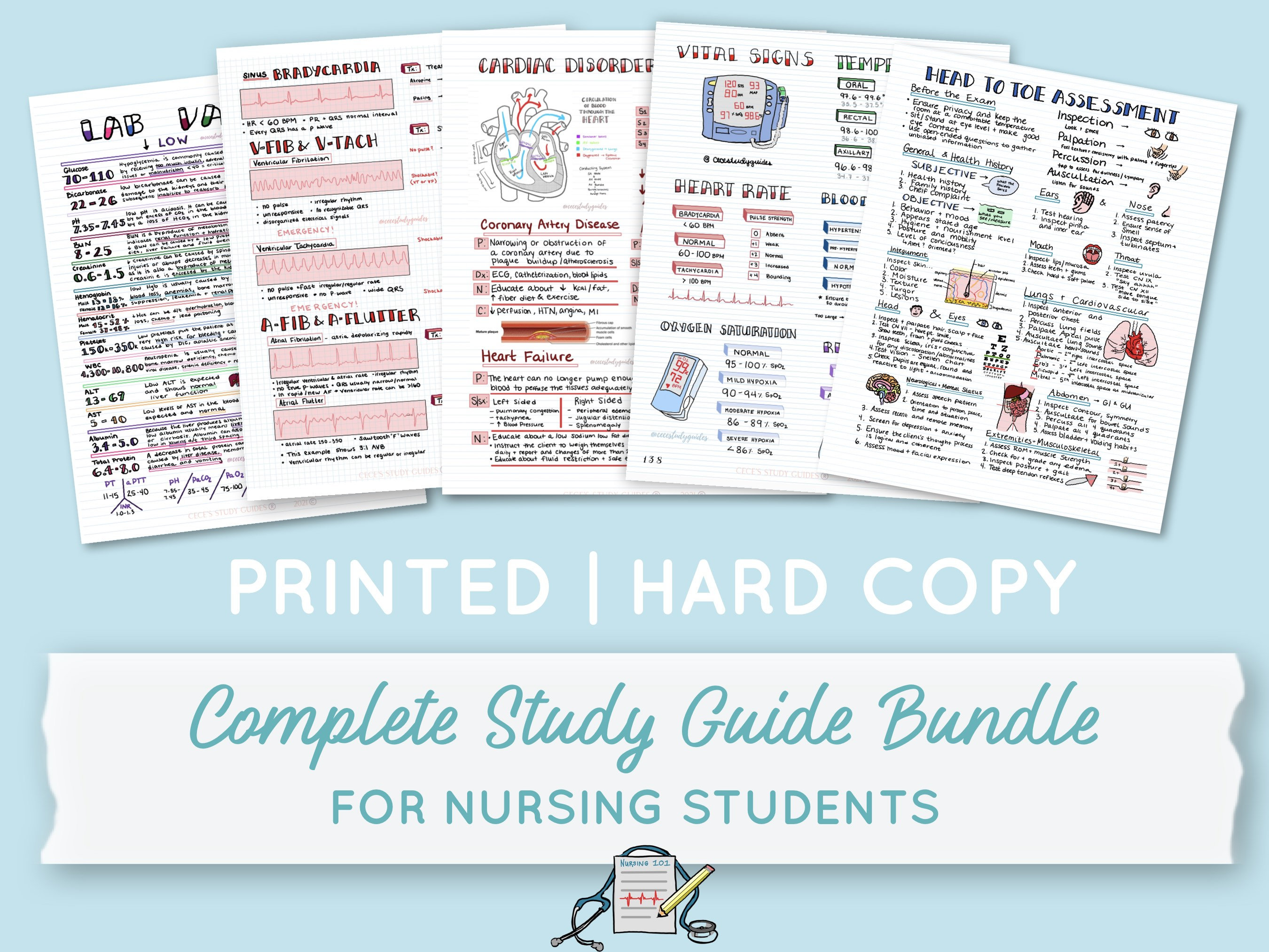 PRINTED, Complete Study Guide Bundle for Nursing Students™ - HARD COPY, Nursing School Notes