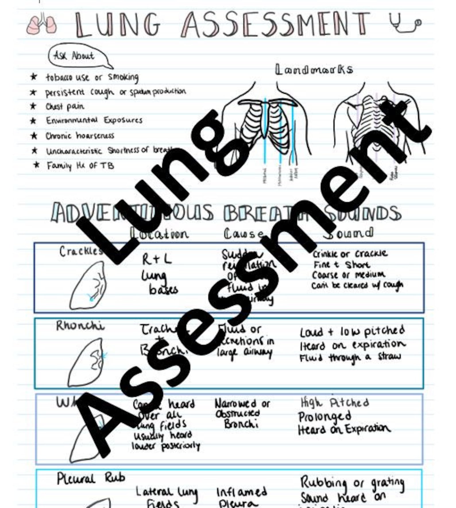 Lung assessment study guide etsy