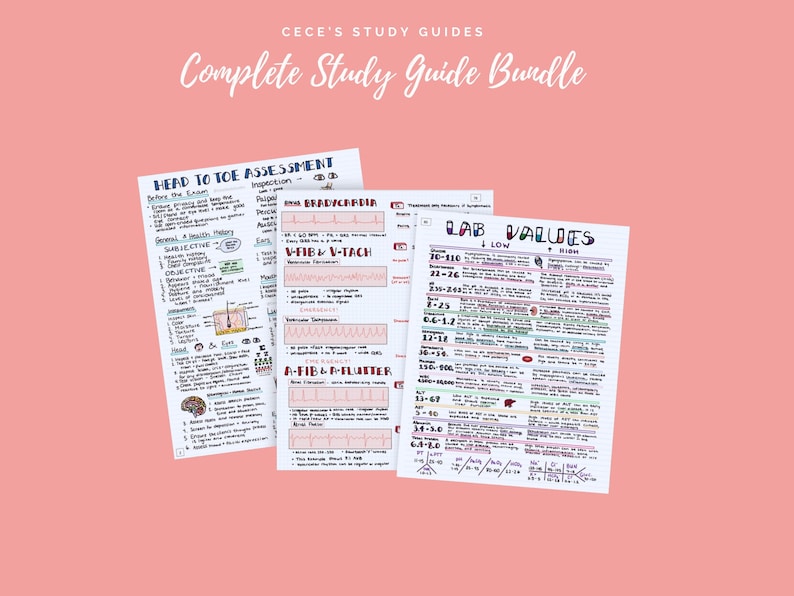 DIGITAL - Complete Study Guide Bundle for Nursing Students - Nursing Notes image 3